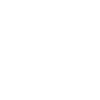 Plinth Level